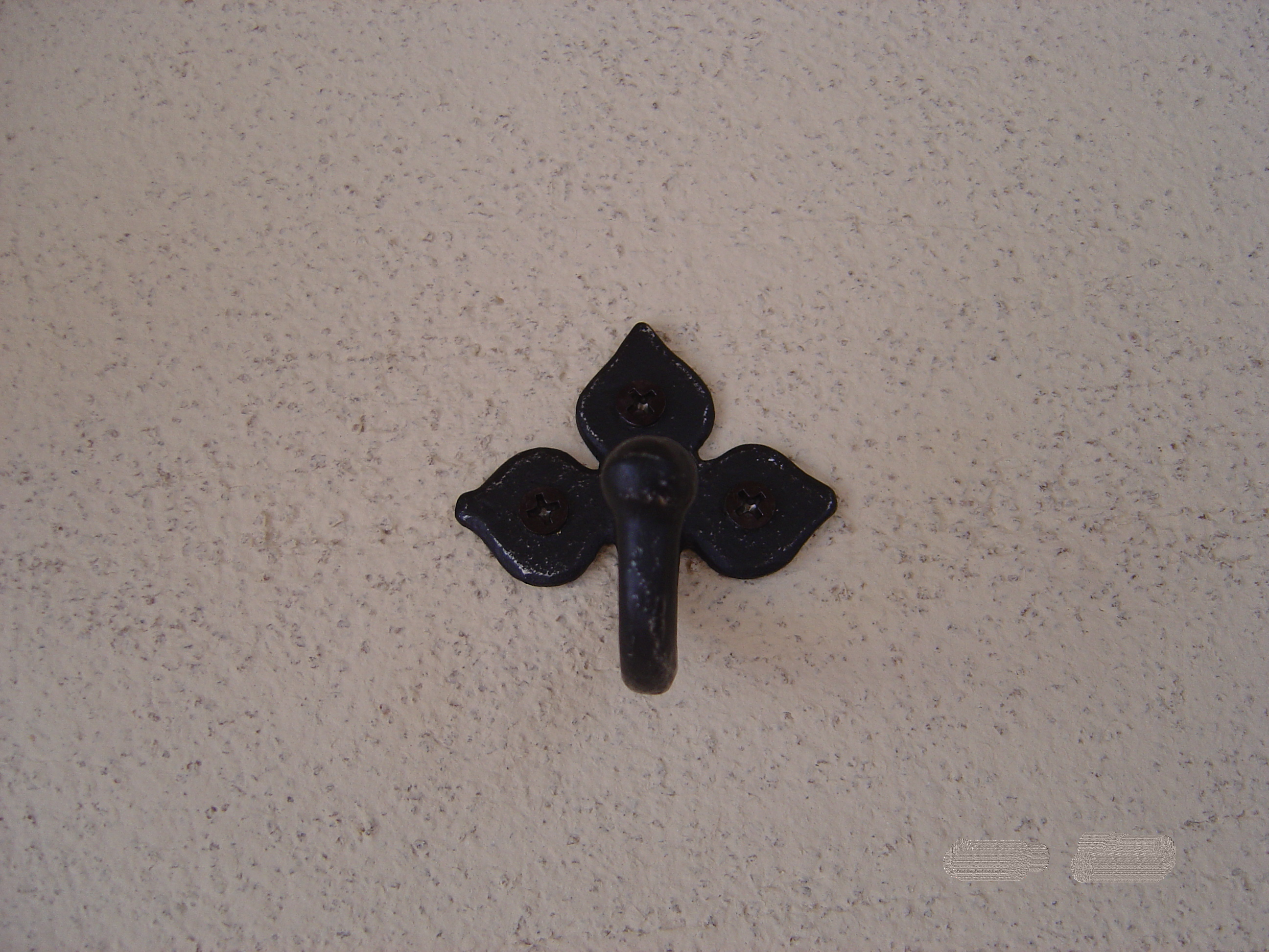 DSC00611d