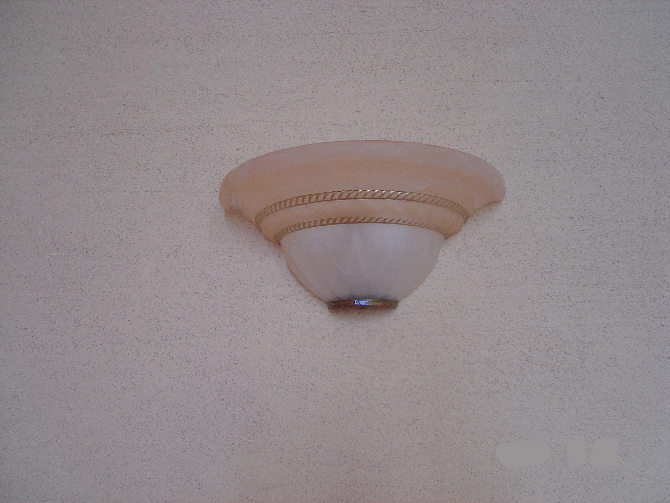 DSC00486d
